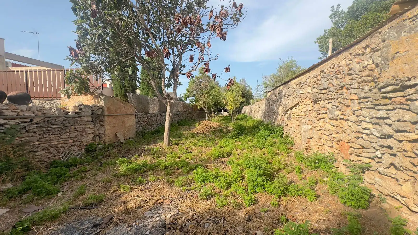 Wohnbaugrundstück zum Verkauf in Sencelles, imagen 9