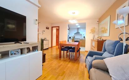 Living room of Flat for sale in L'Hospitalet de Llobregat  with Air Conditioner and Terrace