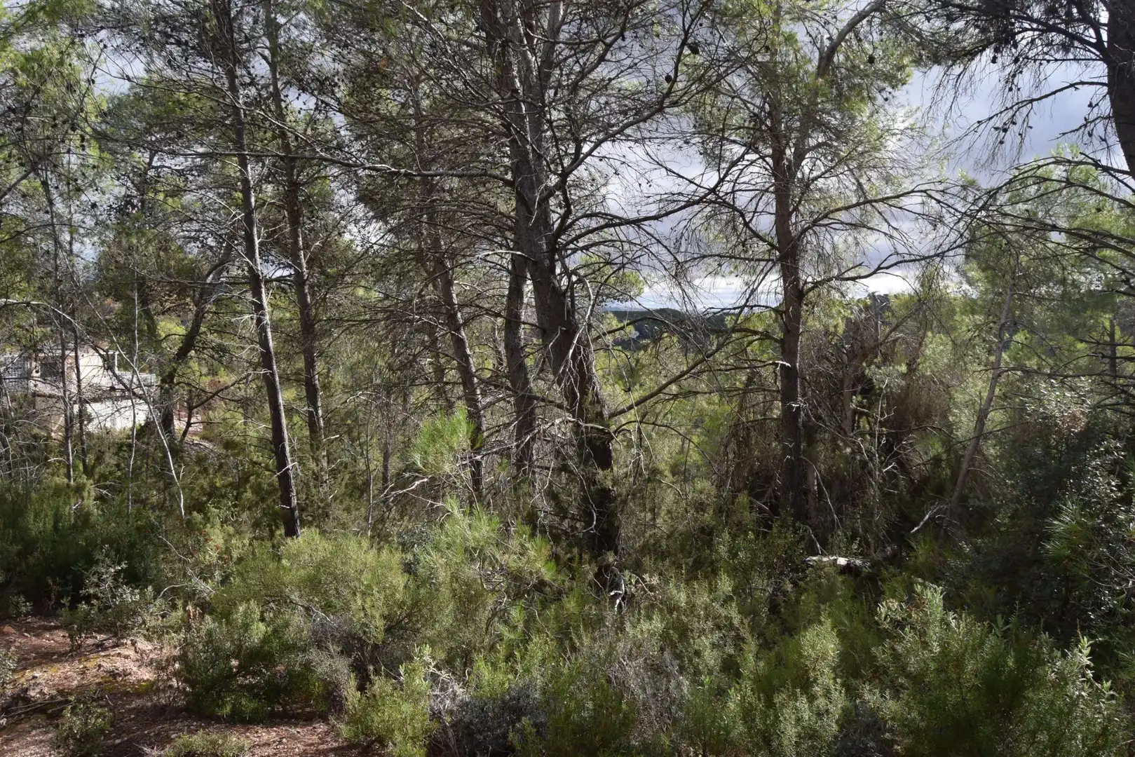 Residential land for sale in Calle Nueva Sierra CR, imagen 4