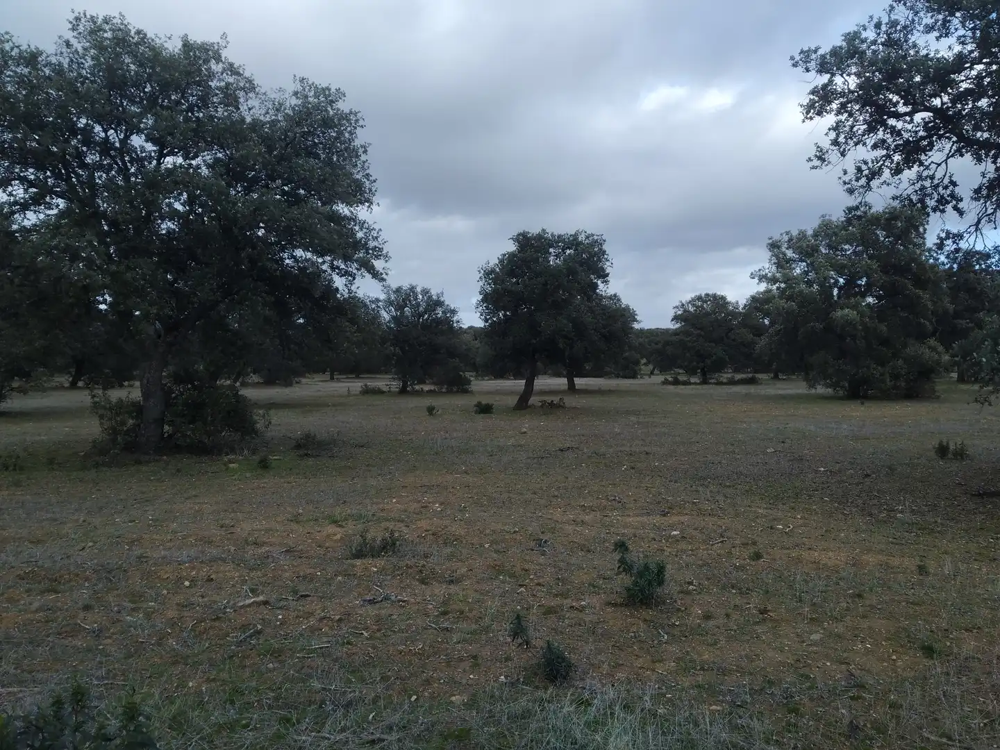 Terreno rustico in vendita a Villanueva del Duque, imagen 4