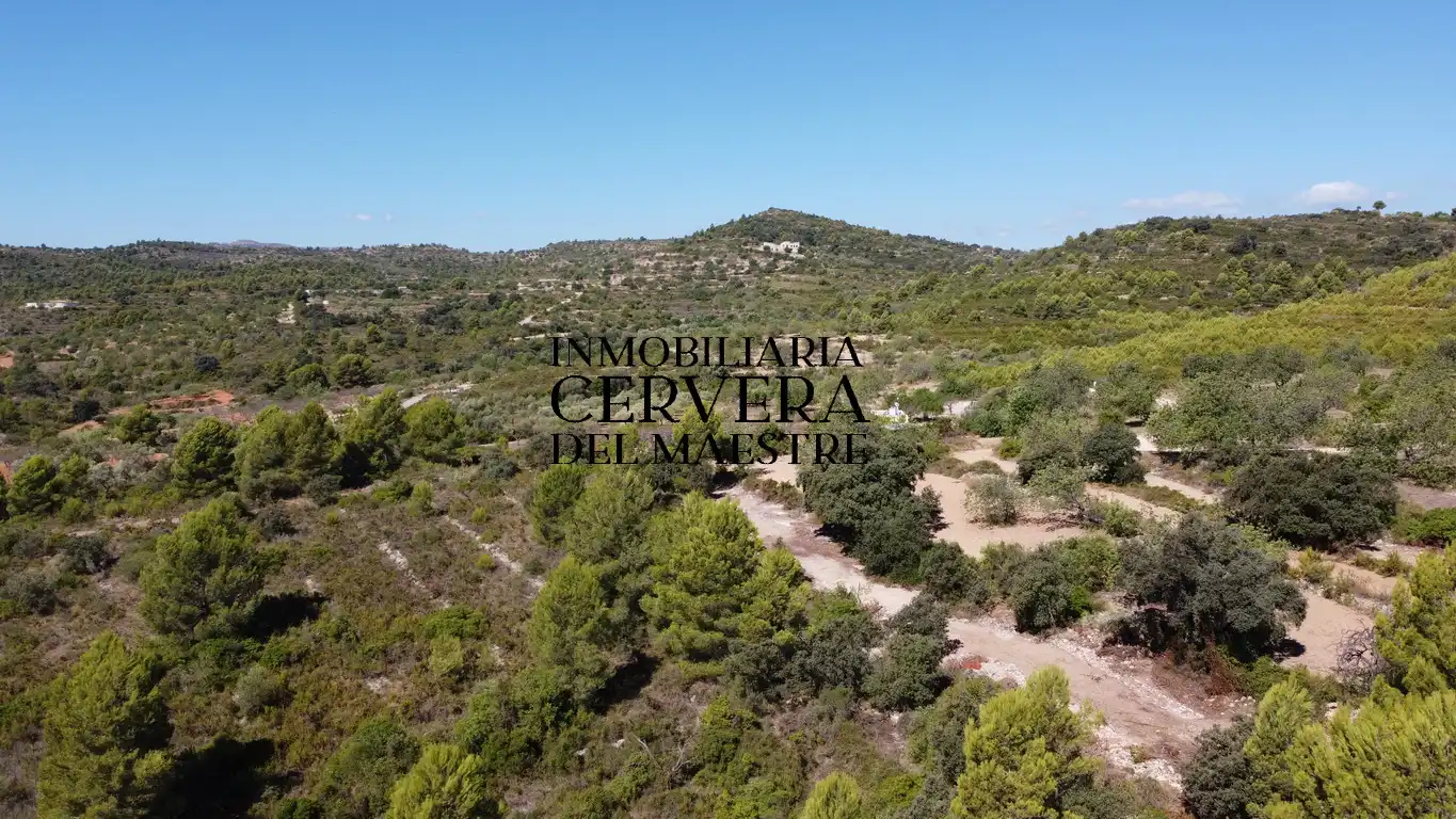 Terreno rustico in vendita a Cervera del Maestre, imagen 10