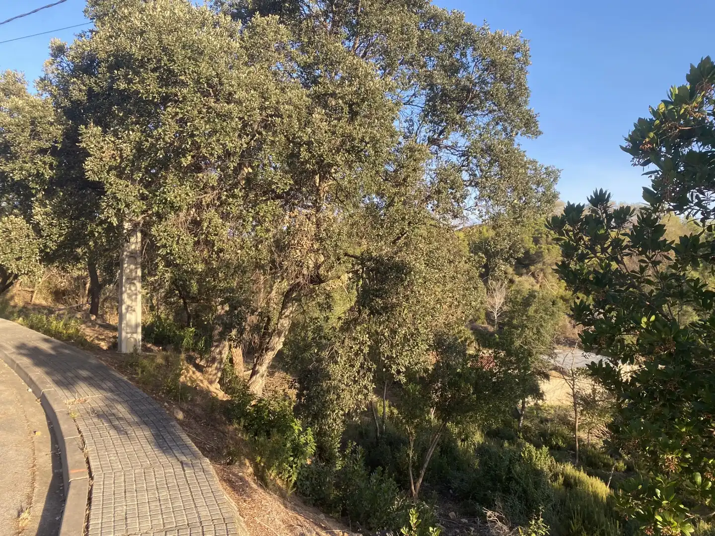 Terreno residencial en venta en Carrer Pi 7, imagen 8