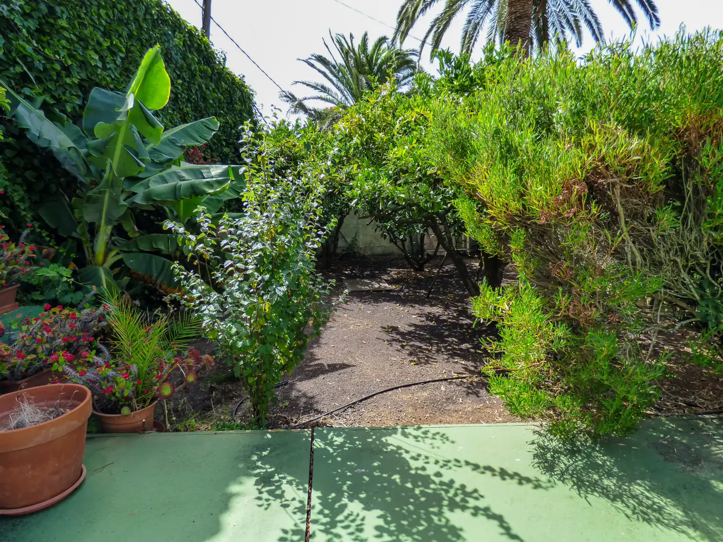 Jardí de Casa o xalet en venda en Vega Lagunera
