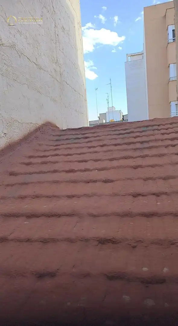 Jardí de Casa o xalet en venda en Elche / Elx amb Terrassa