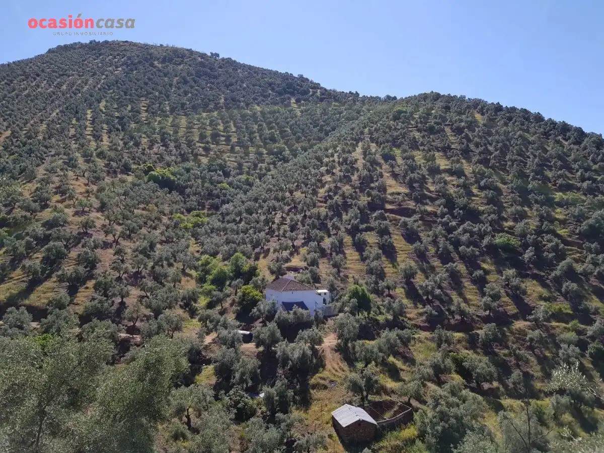 Jardín de Finca rústica en venta en Villanueva de Córdoba con Jardín privado, Trastero y Amueblado