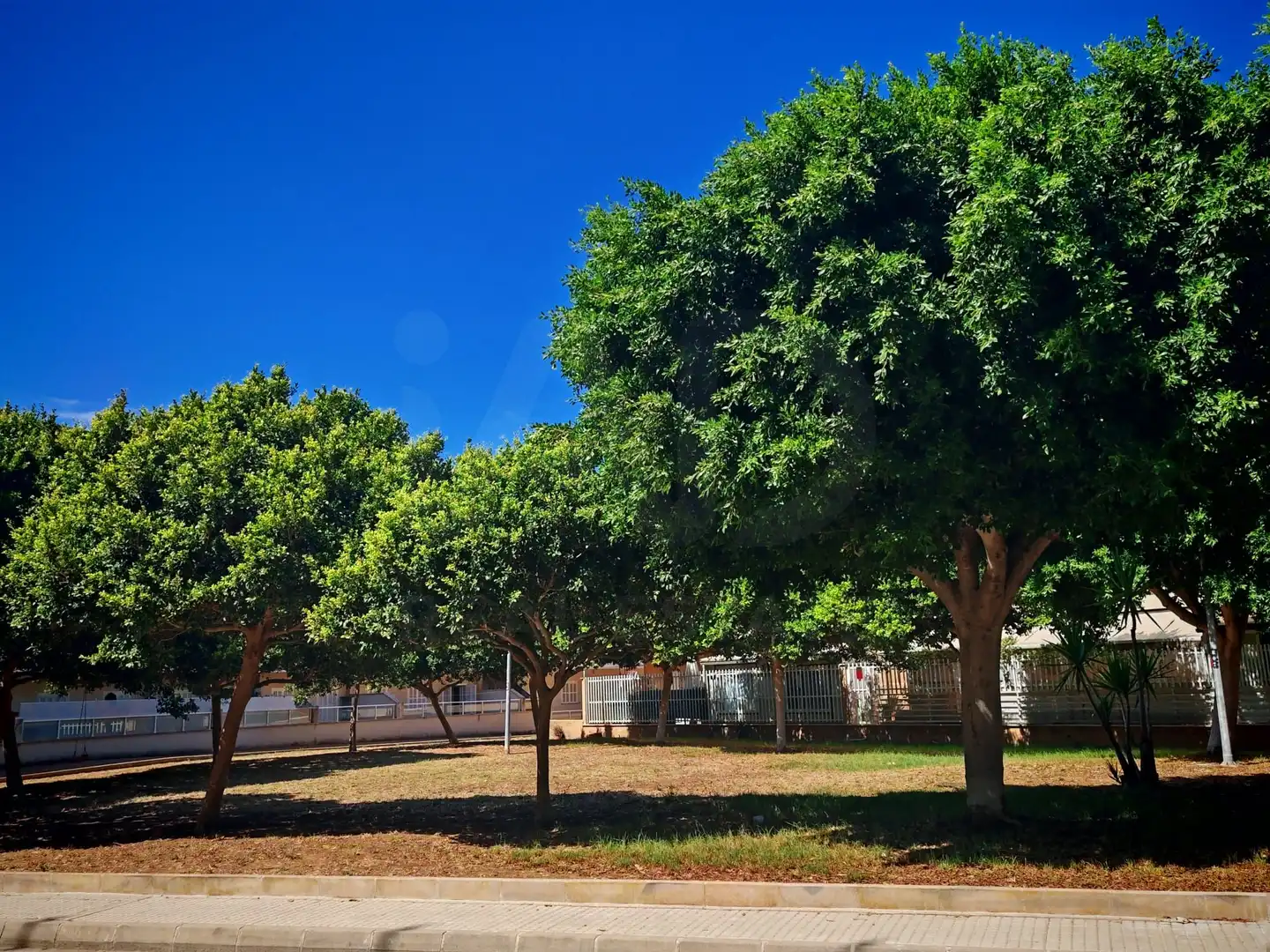 Piso con ascensor en venta en Ciutat d'Alcúdia, imagen 6