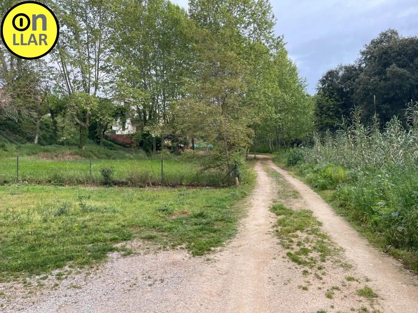 Residential land for sale in Calle Alzina, imagen 15