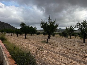 Terrain rustique à vendre à Calle Orihuela.Bar