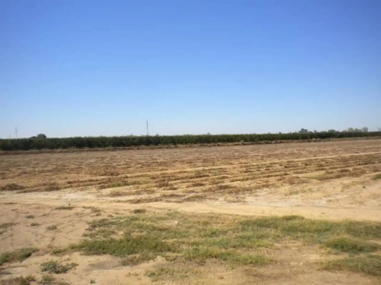 Land for sale in Rena