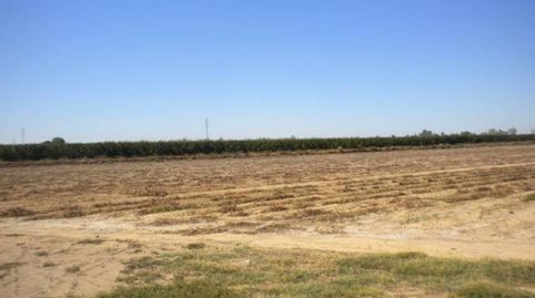 finca en venta, immagine 3