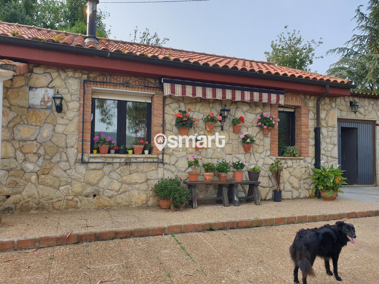 Vista exterior de Casa o xalet en venda en Carreño amb Terrassa