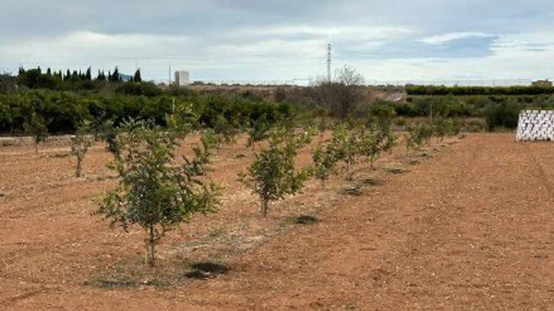 Finca rústica en venta en Onda