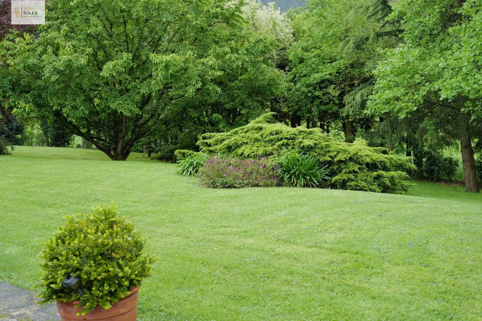 Jardí de Casa o xalet en venda en Villaescusa (Cantabria) amb Jardí privat, Terrassa i Traster