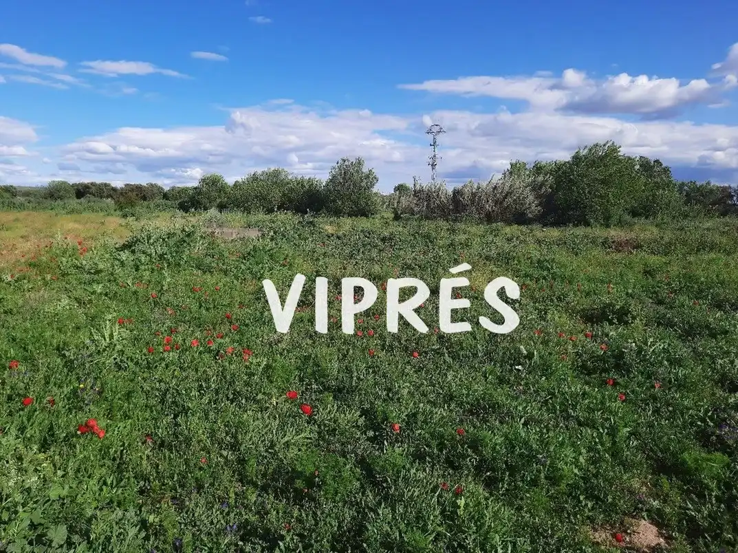 Terreni e lotti in vendita a Mirandilla, imagen 2