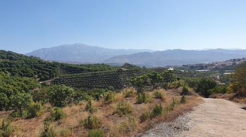 Foto 3 de Finca rústica en venda a Carrer N/a, Iznate, Málaga