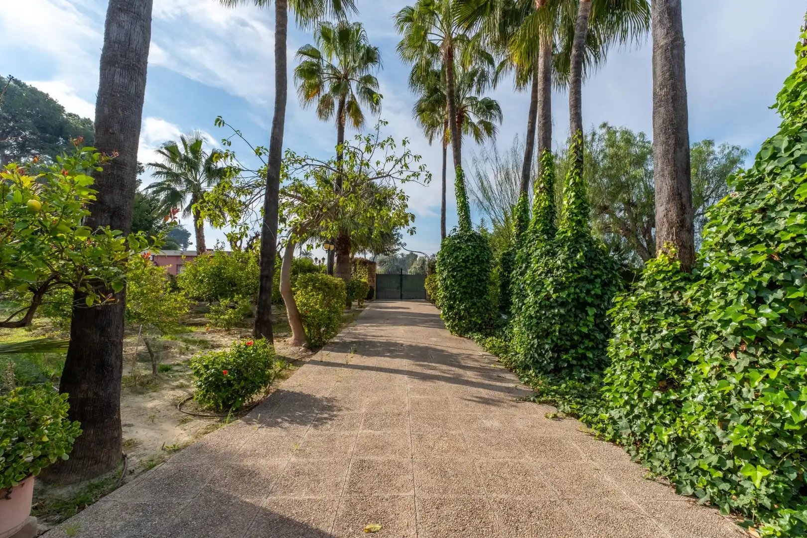 Vista exterior de Casa o chalet en venta en Elche / Elx con Aire acondicionado, Calefacción y Jardín privado