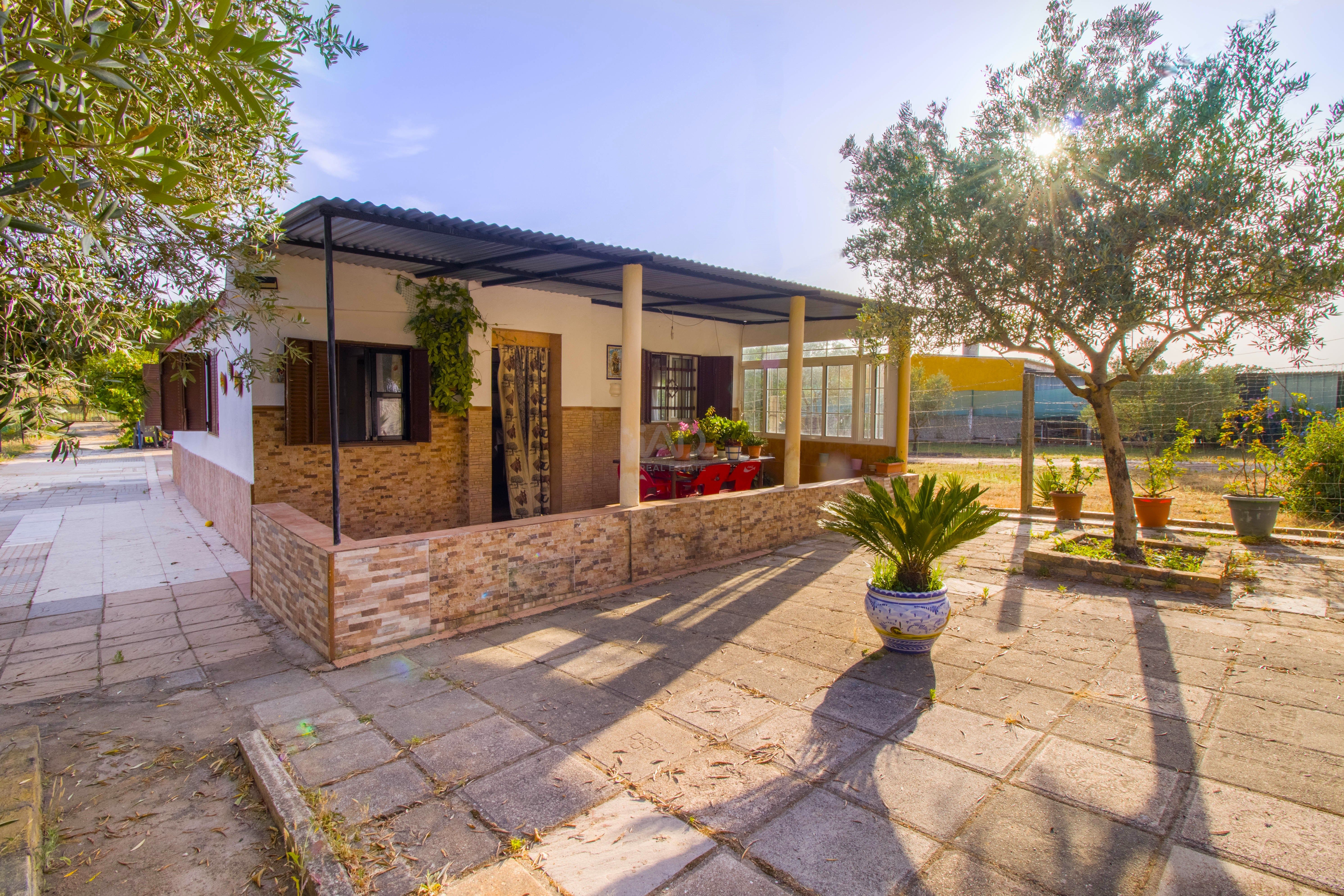 Garden of House or chalet for sale in Bonares  with Heating and Terrace