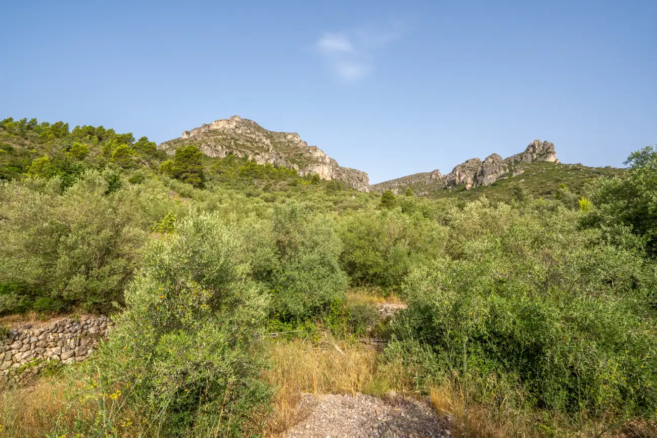 Land for sale in Roquetes