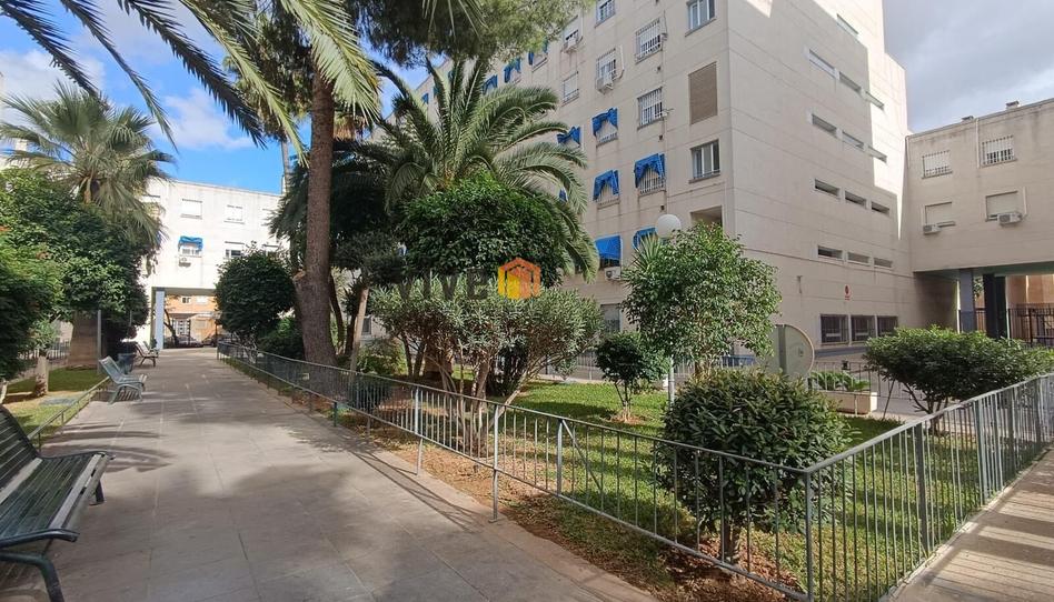 Photo 1 of Flat for sale in Calle Parque de Doñana, Pino Montano - Consolación, Sevilla