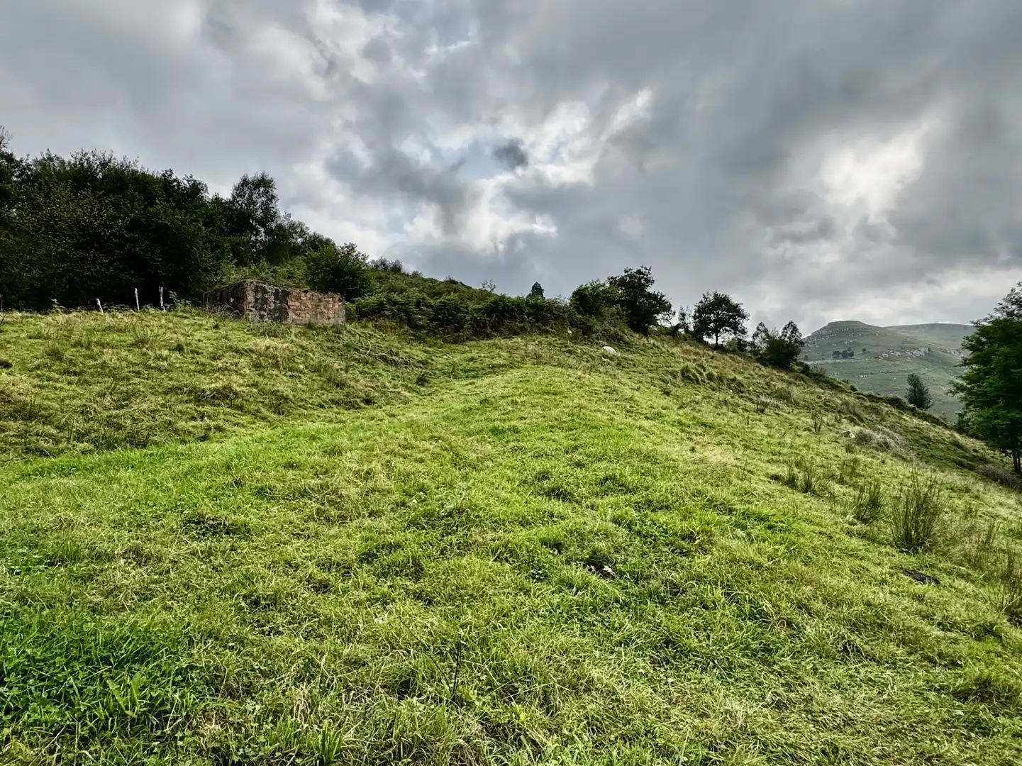 Casa o chalet en venta en Riotuerto