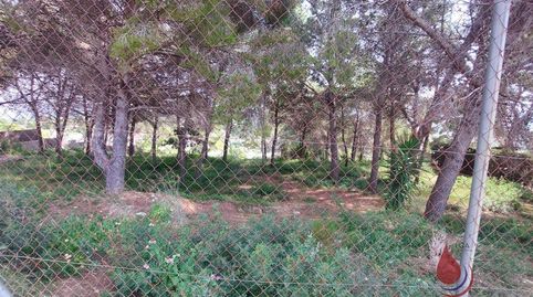 Foto 5 de Residencial en venda a Els Masos - Els Garrofers, El Vendrell
