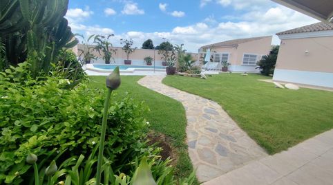 Foto 2 de Casa o chalet en venta en Avenida Avenida Juan XXIII, Cabezo de Torres, Murcia Capital