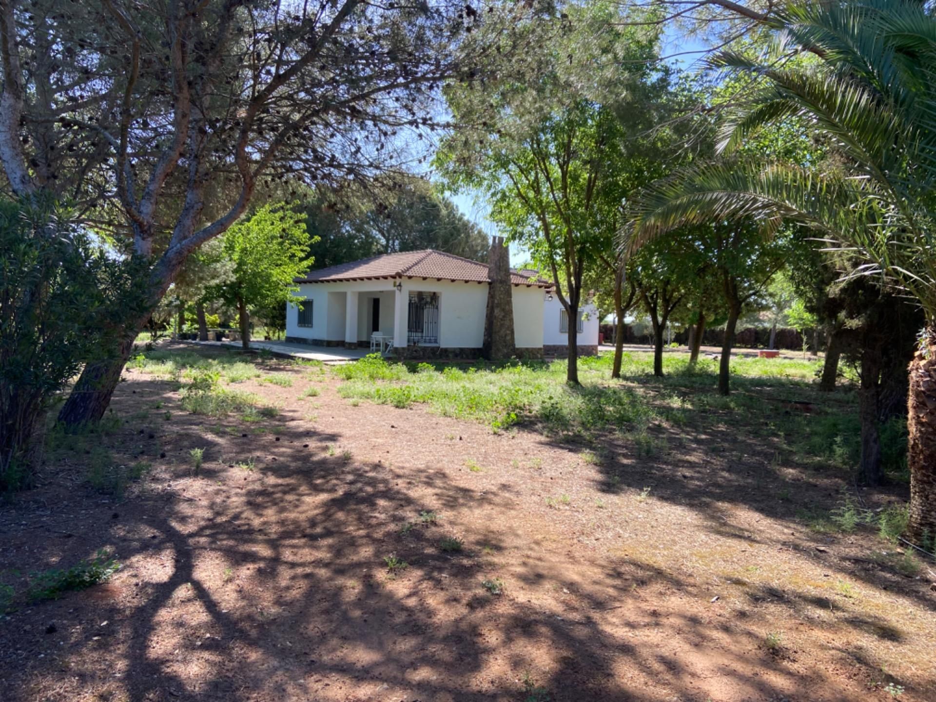 Vista exterior de Casa o xalet en venda en Ciudad Real Capital amb Aire condicionat, Jardí privat i Terrassa