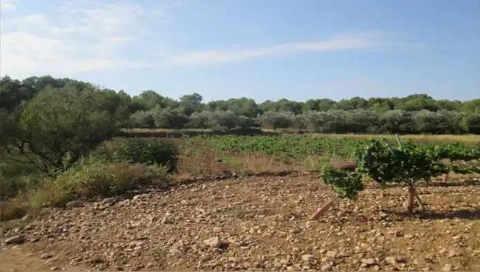 Terrain rustique à vendre à Pj Horquera y Pd Balsica - Montehorquera Golf -, imagen 6