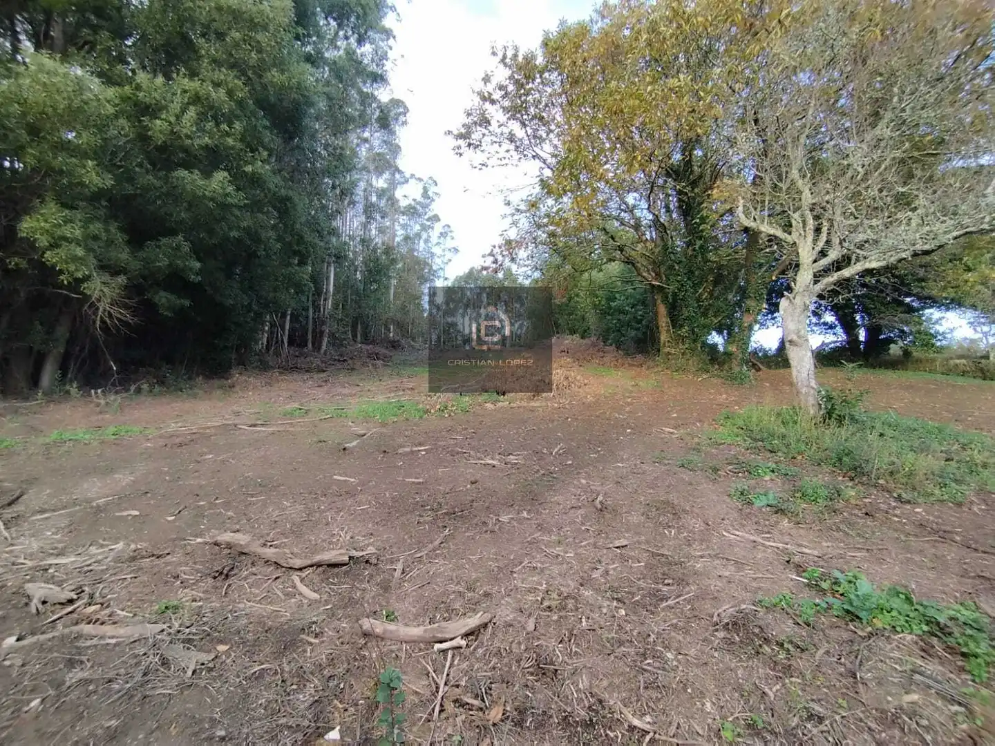 Casa o chalet en venta en Cesuras con Terraza y Trastero