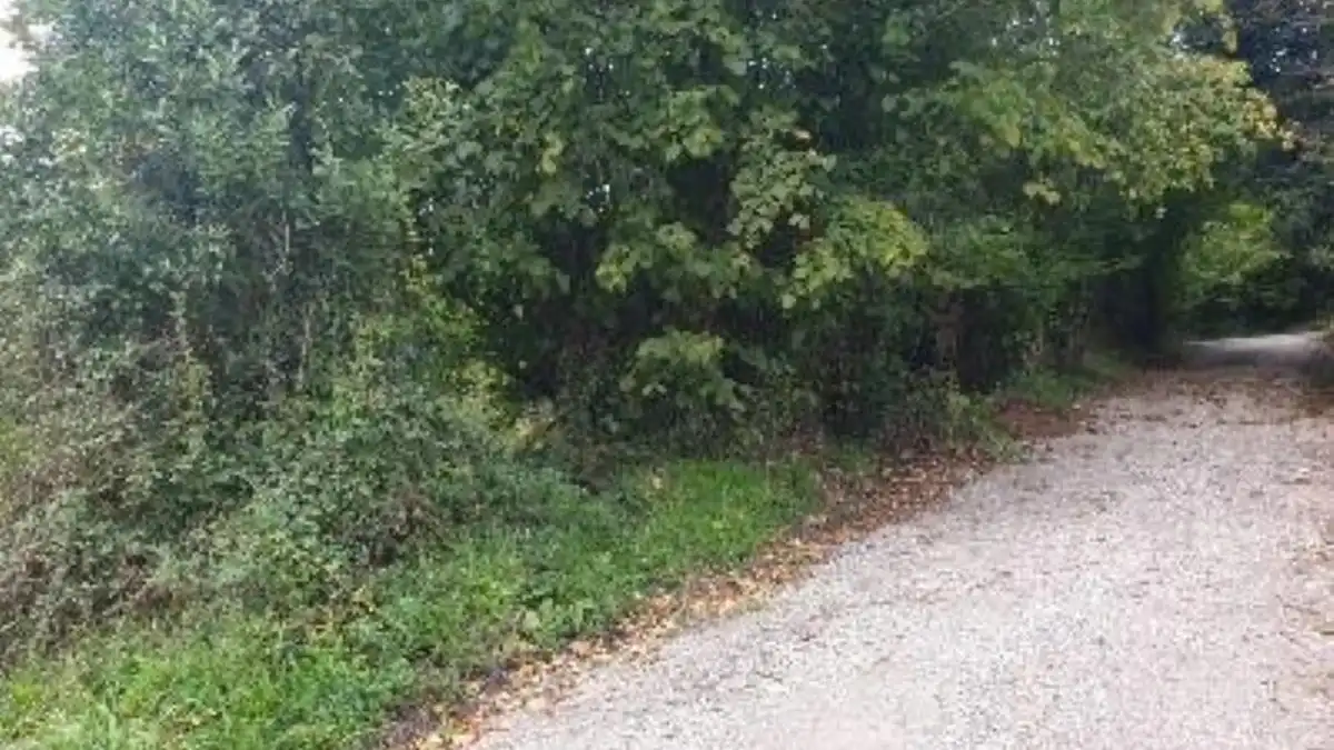 Terreno rustico in vendita a Lugar Carrionina, imagen 4