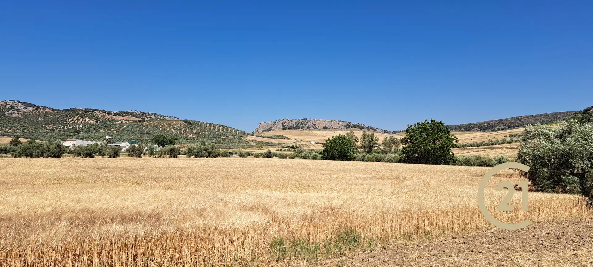Residencial en venda en Cuevas del Becerro