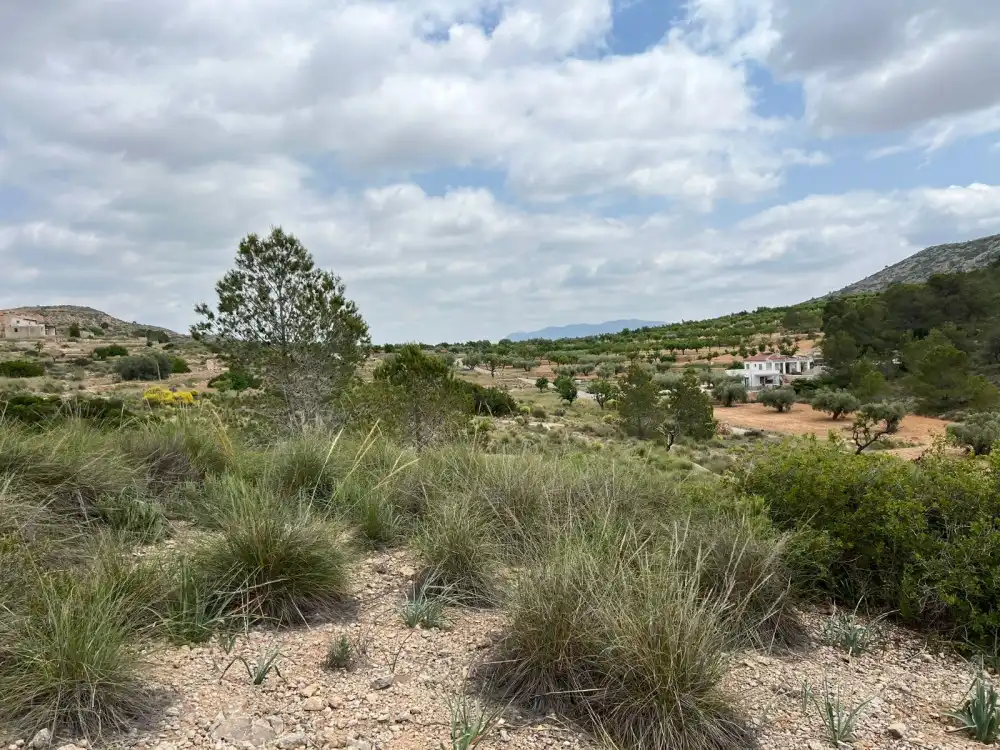 Terreny residencial en venda a Hondón de las Nieves / El Fondó de les Neus, imagen 2