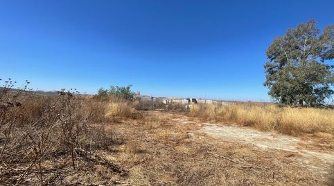 FINCA RÚSTICA, imatge 2