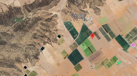 SE VENDE FINCA RUSTICA EN JUMILLA