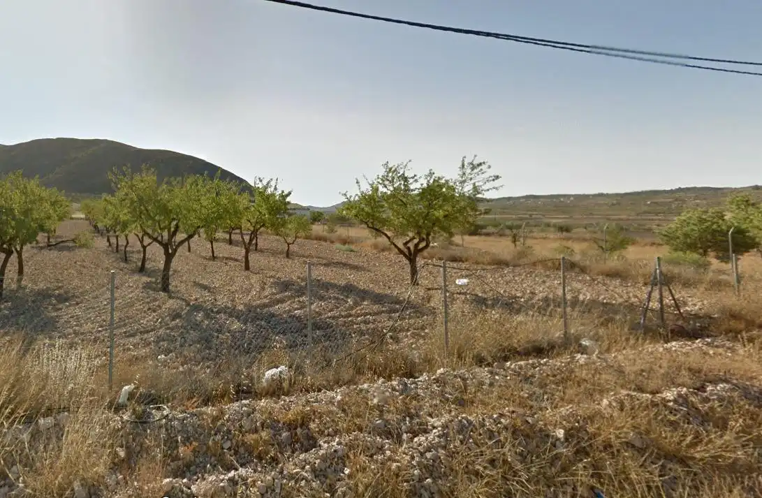 Terreno rústico en venta en La Murada - Los Vicentes