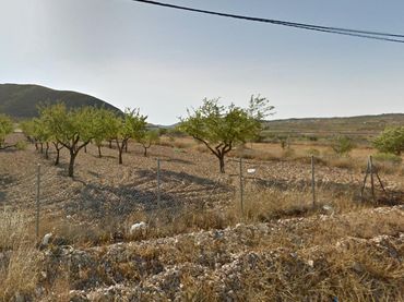 Terreno rústico en venta en La Murada - Los Vicentes
