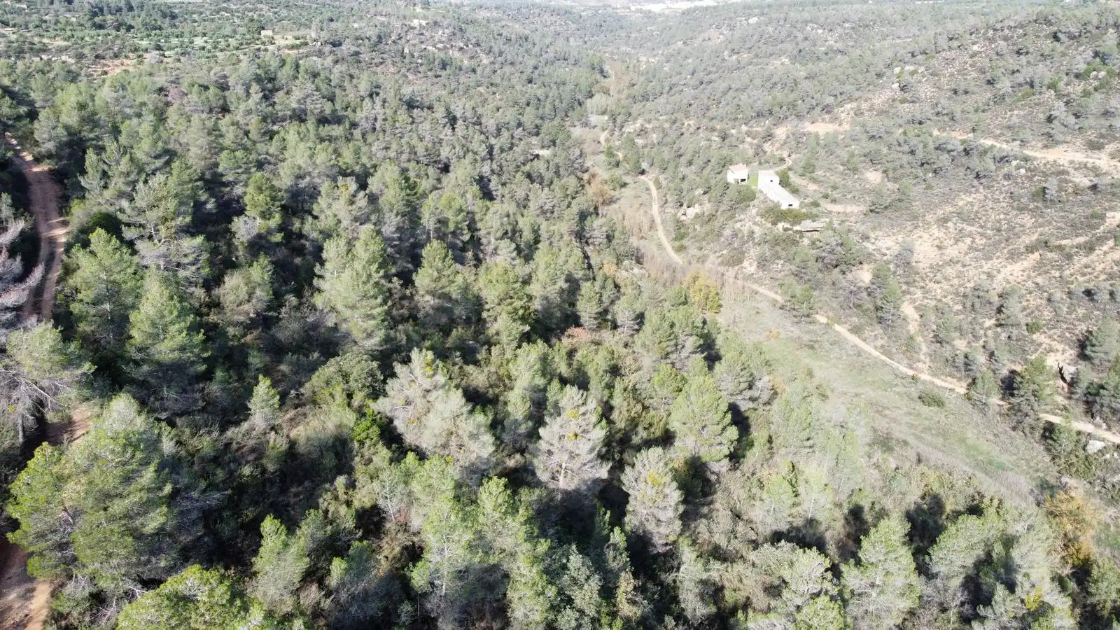 Terreno rustico in vendita a Cervià de Les Garrigues, imagen 40