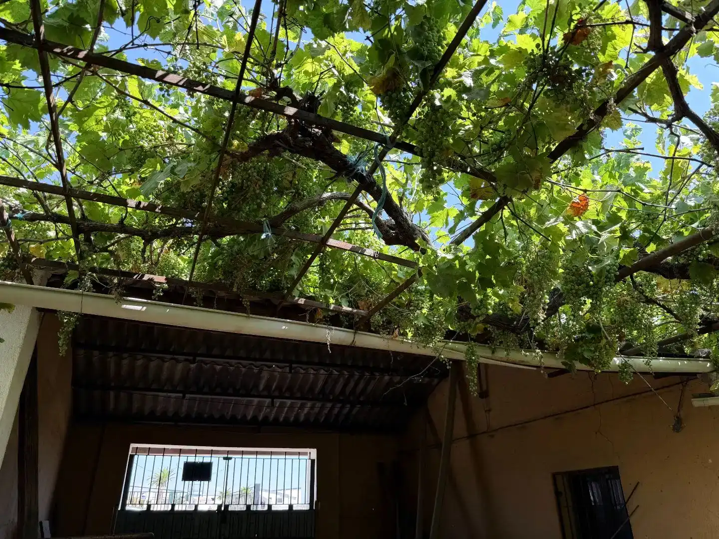 Terrassa de Finca rústica en venda en Calera y Chozas