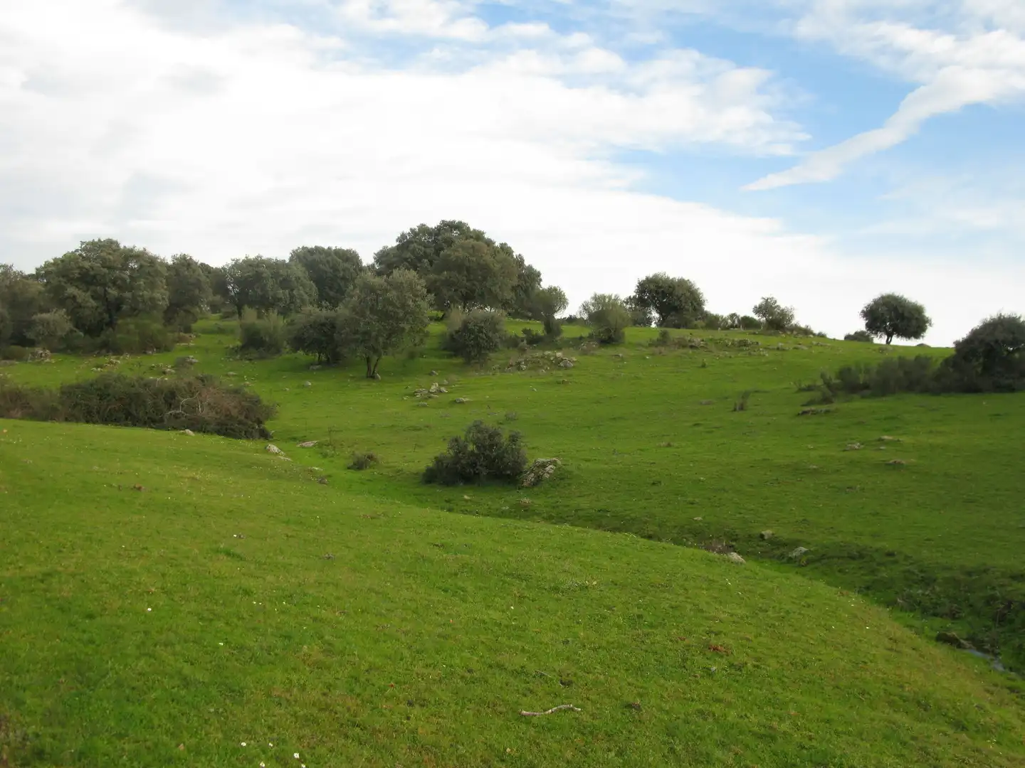 Terreni e lotti in vendita a Jarandilla de la Vera, imagen 12