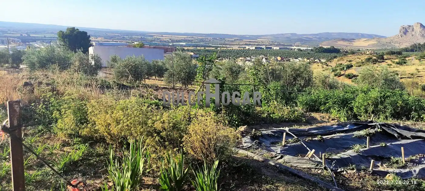 Finca rústica en venda en Antequera