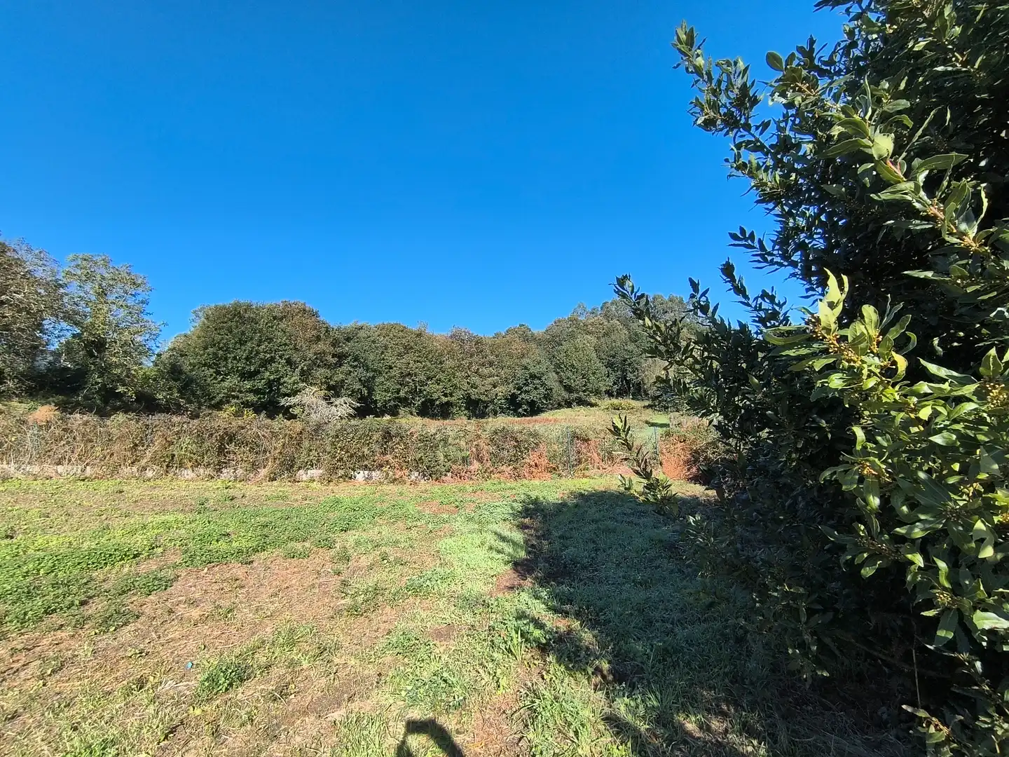 Terreno residencial en venta en Bergondo, imagen 8