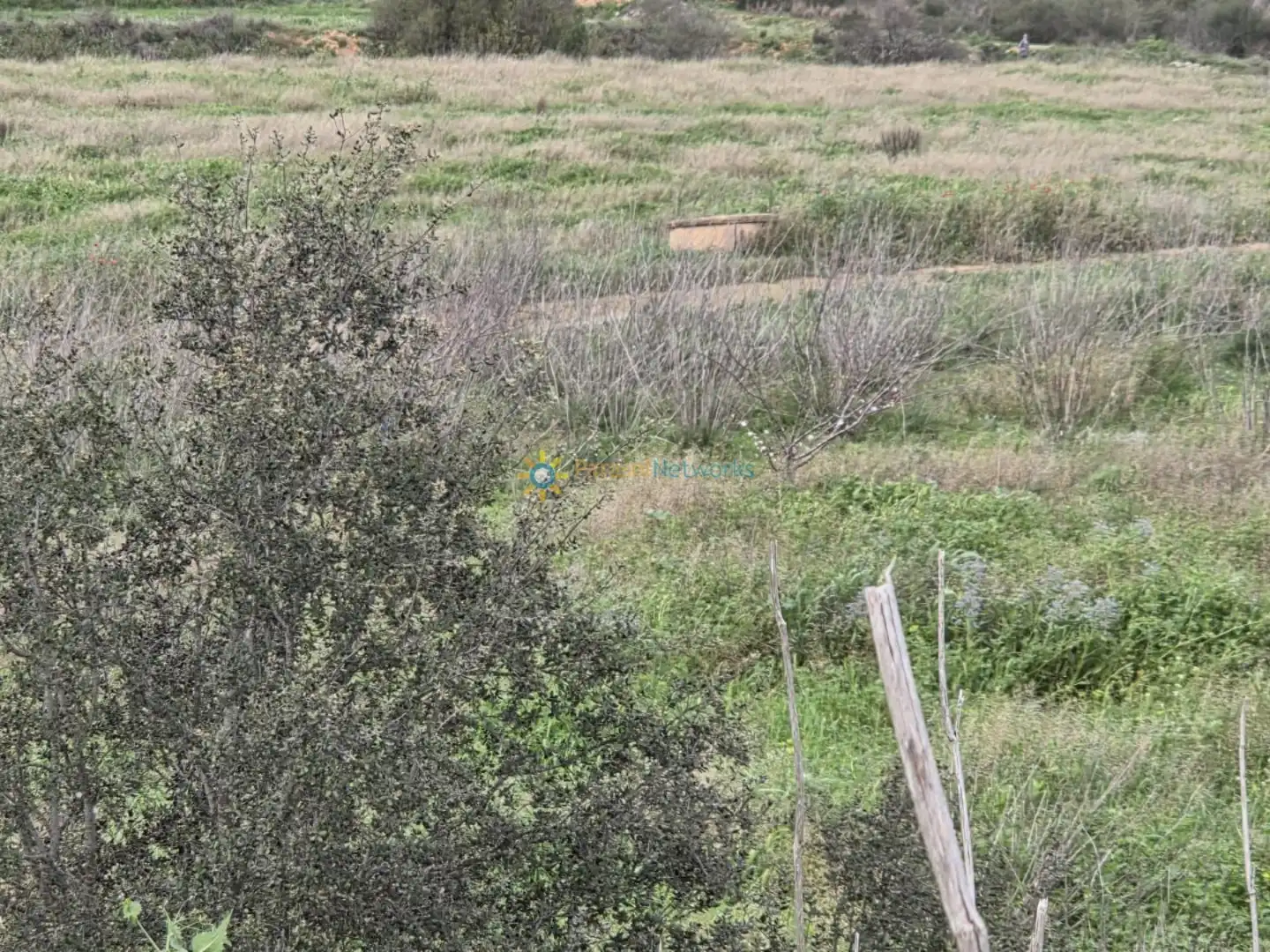 Terreno en venta en Benigànim