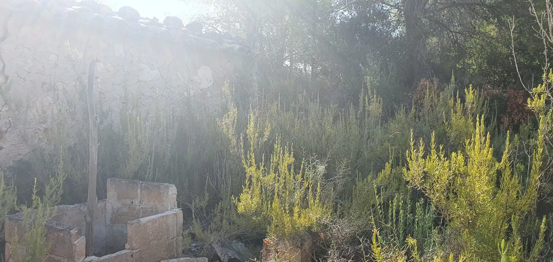 Casa o chalet en venta en Benifallet