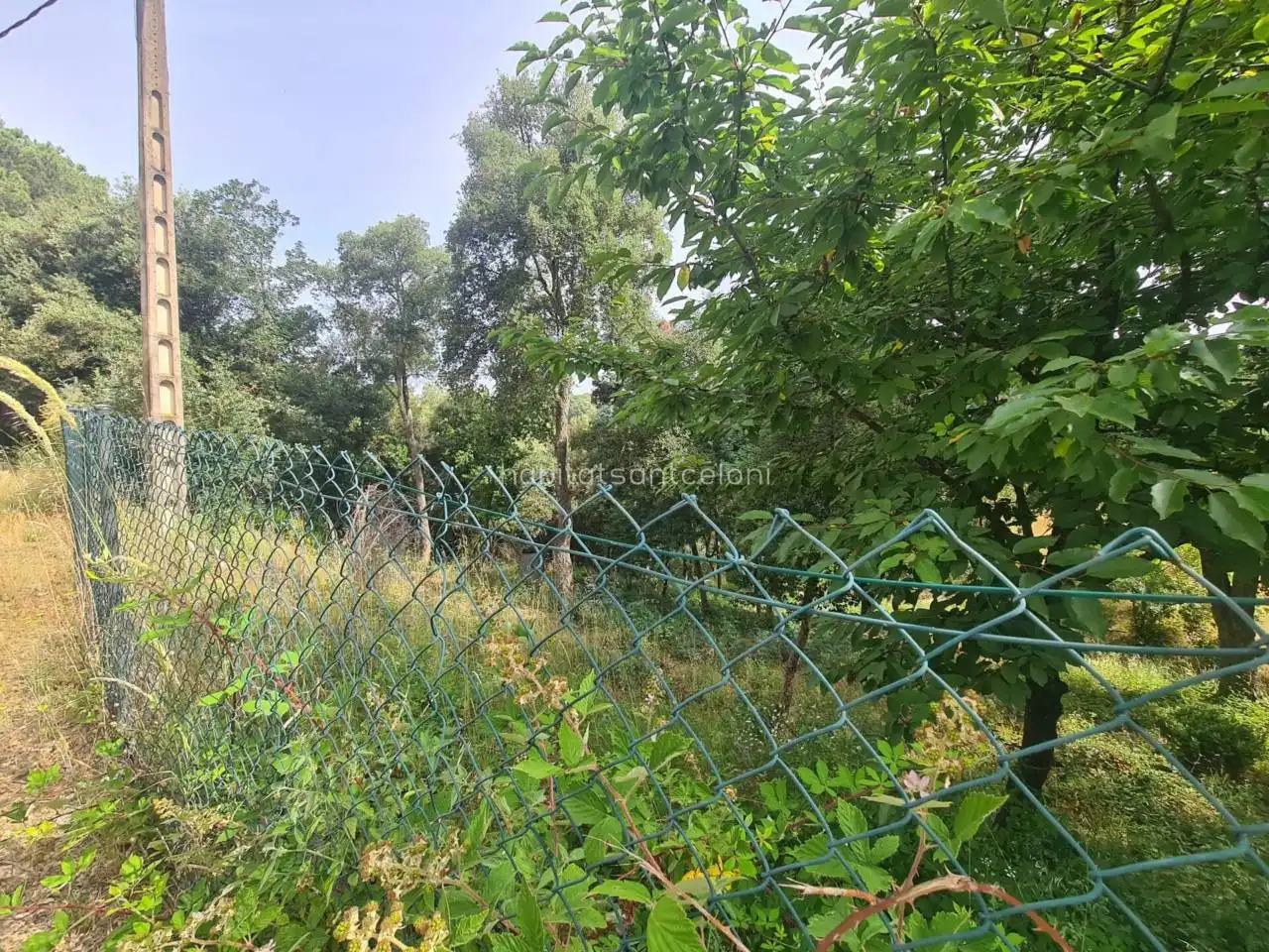 Terreno residencial en venta en Calle Gírgola 11, imagen 8