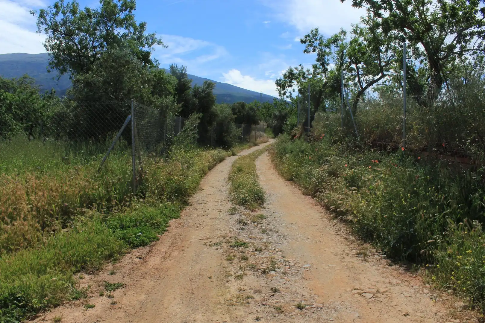 Terreno en venta en Nigüelas