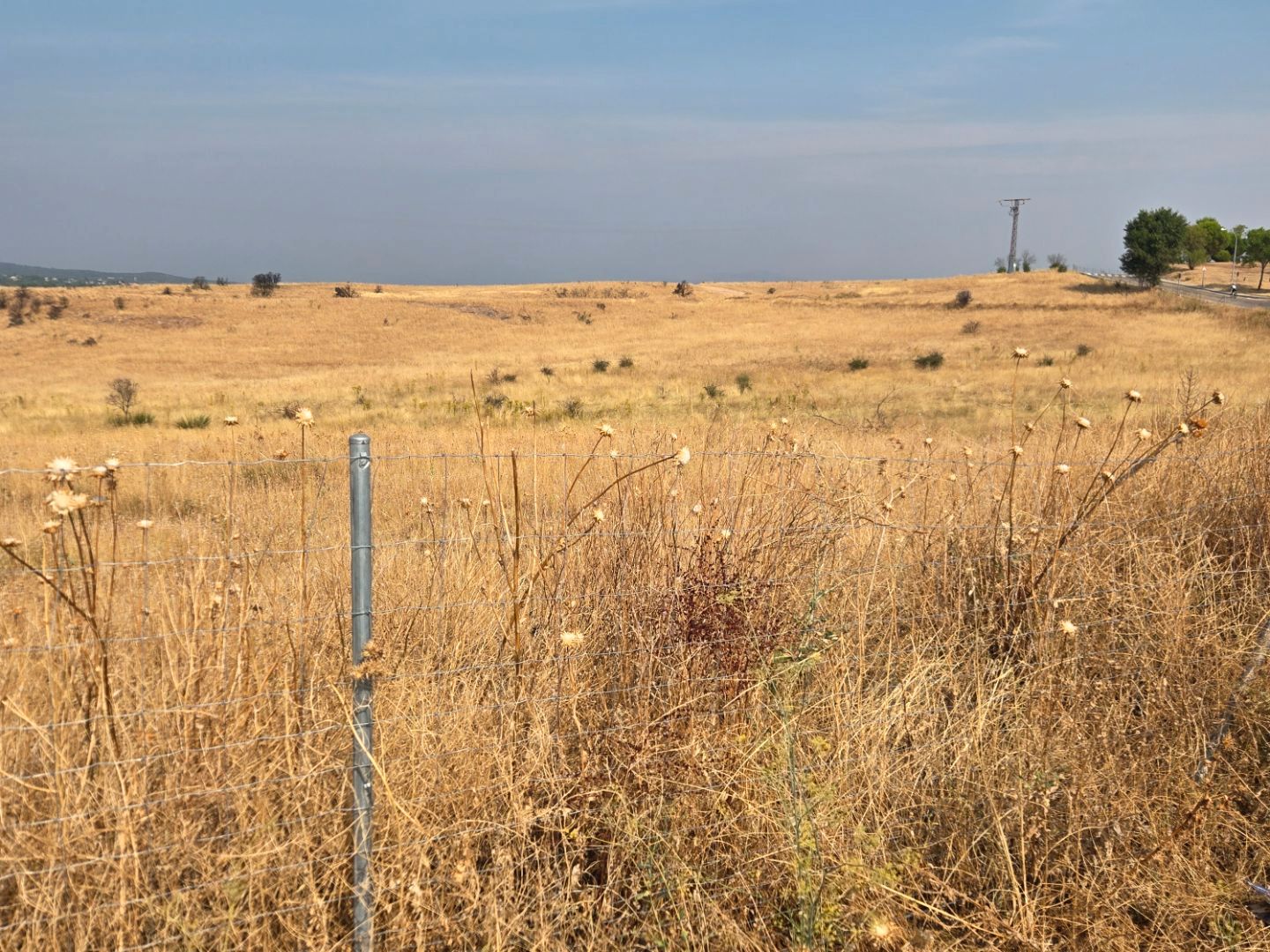 Land for sale in Pedrezuela