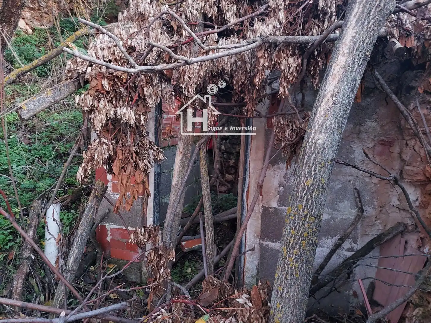 Terreno rustico in vendita a Depósito viejo, imagen 5