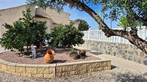 Foto 4 de Casa o chalet en venta en Cam. Lo Perpen, Catral, Alicante