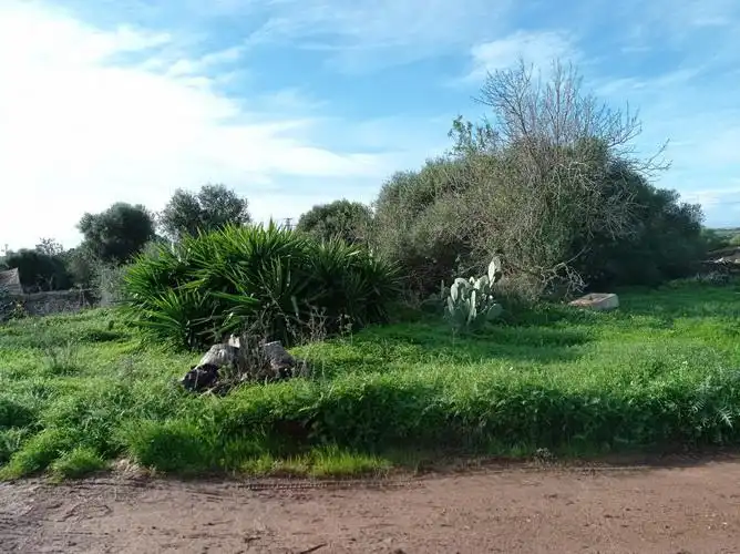 Terreny rústic en venda a Ses Salines Poble, imagen 4