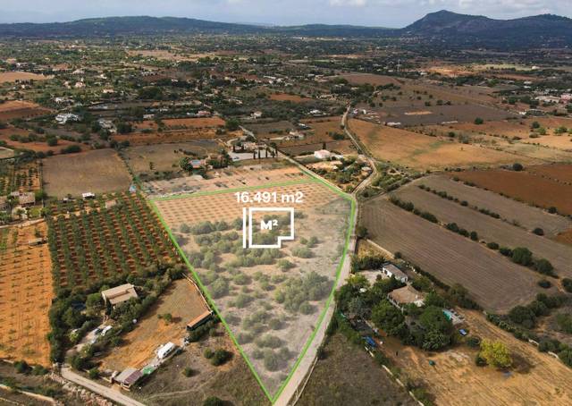 Terreno en Venta en Ronda de Migjorn, 64 en Llucmajor pueblo